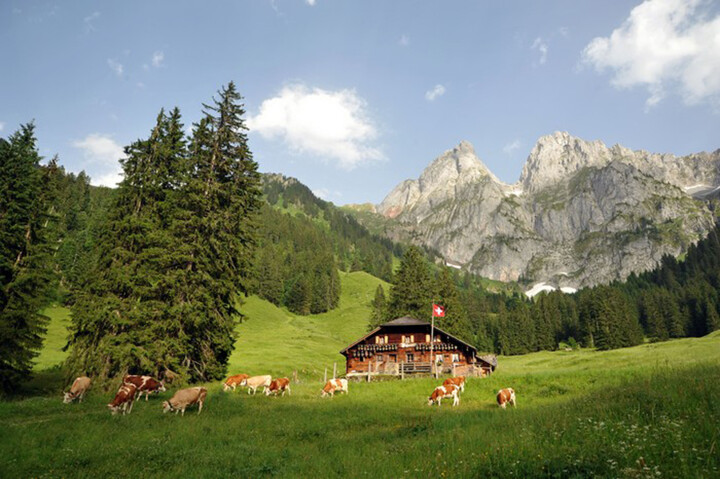 Unter anderem auf dieser Alp entsteht der Käse L'Etivaz.