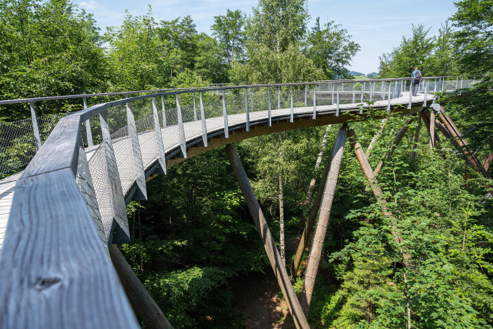 Der Steg schlängelt sich – einer Briobahn ähnlich – auf bis zu 45 Meter über dem Boden zwischen den Bäumen hindurch.