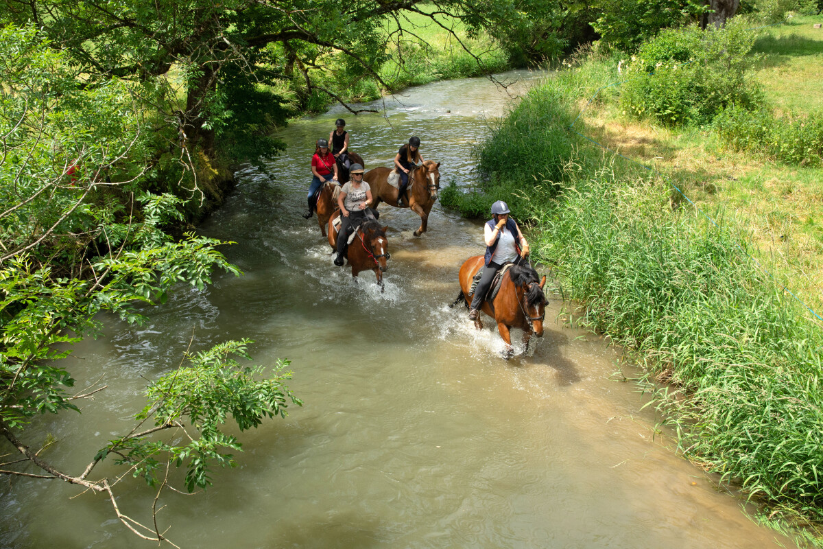 Abstecher in einen Bach: Für Pferd und Reiter eine willkommene Erfrischung.