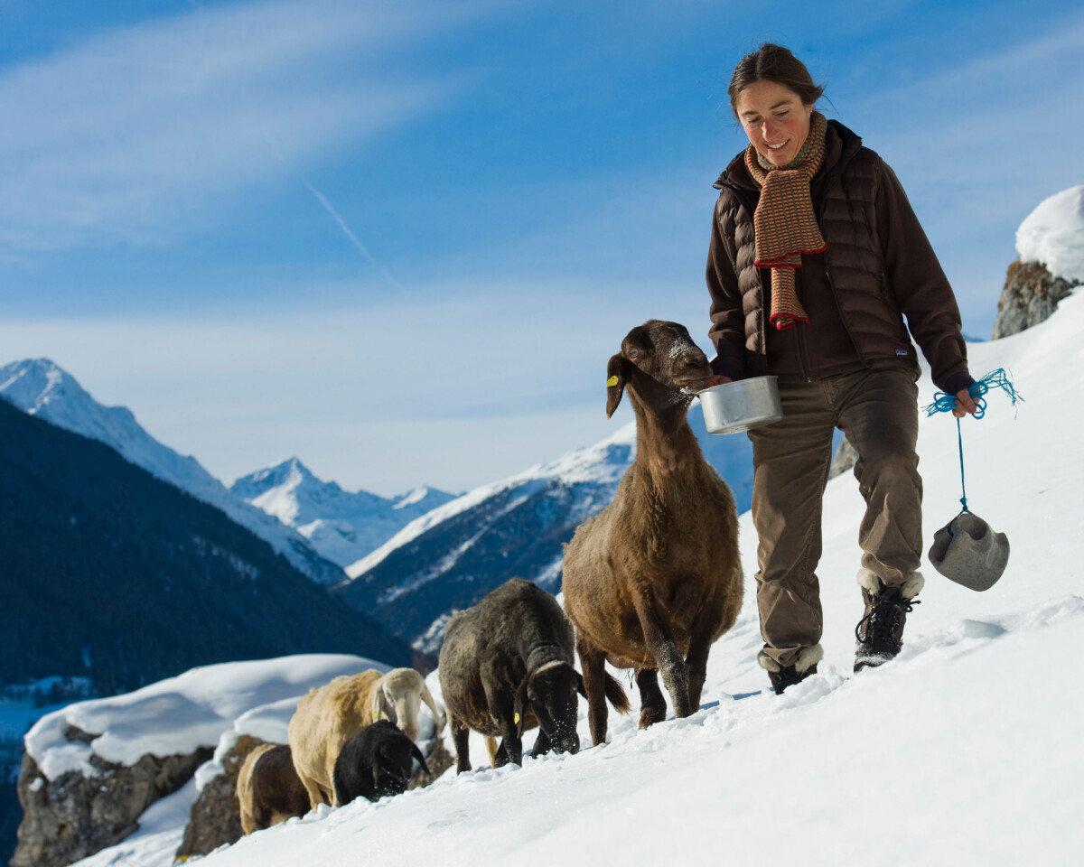 Claudia Janett, Gründerin der Butia da besch, mit ihren Schafen.