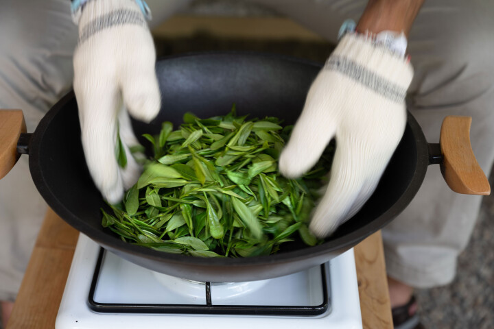 Tee ist nicht gleich Tee: Je nach Zubereitungsart entsteht weisser, grüner oder schwarzer Tee. Um grünen Tee zu erhalten, werden die Blätter im ersten erhitzt.